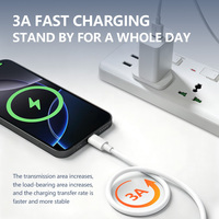 Câble de données USB Type-C 8 broches extra long de 3 mètres, cœur en cuivre pur, TPE, charge rapide pour iOS et appareil photo