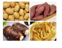 Aardappelchipsmachine, productielijn voor diepvriesfrieten, taro- en wortelsnijder