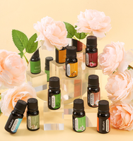 Huile Essentielle Végétale Naturelle Multi-Usages OEM, Parfum Lavande Gingembre Arbre à Thé Menthe Romarin Rose, Huile d'Aromathérapie Pure