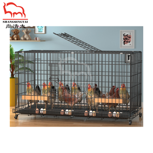<span class=keywords><strong>Poulailler</strong></span> avec grande porte et caméra, adapté à l'élevage de poulets à petite et grande échelle pour 1-2 poulets - Product Image 6
