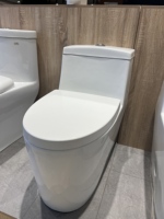 WC monobloc en céramique pour salle de bain, à chasse d'eau siphonique Tornado, conforme aux normes américaines, certifié CUPC et WaterSense