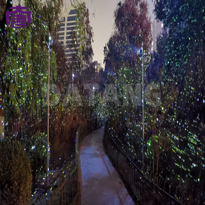 Proyector Láser LED de Alta Potencia IP65 con Color Personalizado para Iluminación de Paisajes en Plazas Urbanas y Parques de Vacaciones - Product Image 5