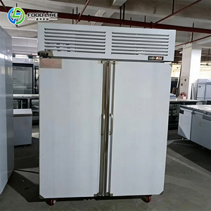 Armoire de décongélation rapide à sortie rapide pour <span class=keywords><strong>produits</strong></span> congelés d'usine alimentaire - Product Image 5