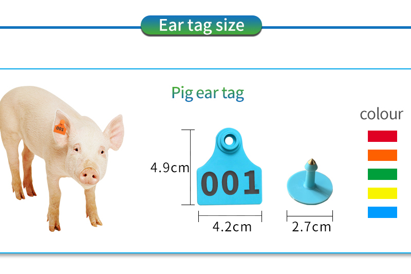 animal pig sheep cattle cow ear earing tags
