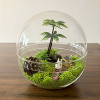 18cm Design Moderne Dôme Cloche Vase En Verre avec Base pour Hydroponique Mousse Mini Nature Plantes Table Présentoir Centre De Table
