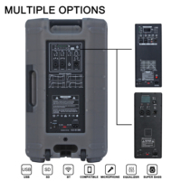 Boîtier de haut-parleur portable entièrement transparent 1500W 15 pouces, système de son audio professionnel DJ, système de haut-parleurs karaoké/PA BoChina