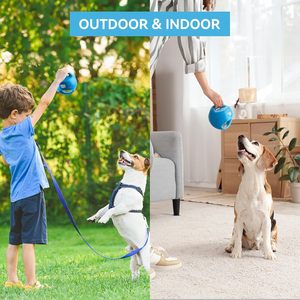 Giocattolo Interattivo per Animali Domestici AFP, Palla Sonora per Cani, Gioco di Tira e Molla, Esercizio all'Aperto, Gioco da Masticare per Cani Piccoli e Medi - Product Image 6