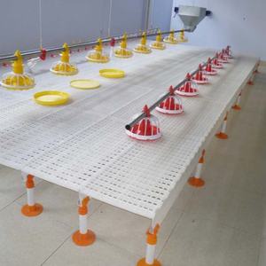 Plancher en plastique pour <span class=keywords><strong>poulailler</strong></span>, 100*50cm, pour <span class=keywords><strong>poulailler</strong></span>, <span class=keywords><strong>sol</strong></span> en plastique pour <span class=keywords><strong>poulailler</strong></span> - Product Image 4