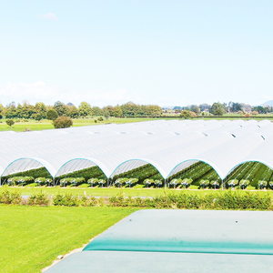 Film de serre haute résistance Caterpillar pour la protection des myrtilles en Australie, anti-vent et anti-pluie - Product Image 2
