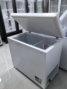 <span class=keywords><strong>Mini</strong></span>-<span class=keywords><strong>congélateur</strong></span> à température unique 150L Réfrigérateur horizontal <span class=keywords><strong>silencieux</strong></span> avec refroidissement direct-35 ℃ <span class=keywords><strong>Mini</strong></span>-<span class=keywords><strong>congélateur</strong></span> - Product Image 4