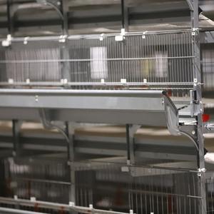 Poulailler d'occasion à long terme, cage à volailles économique pour pondeuses, équipement de ponte durable à bas prix - Product Image 6