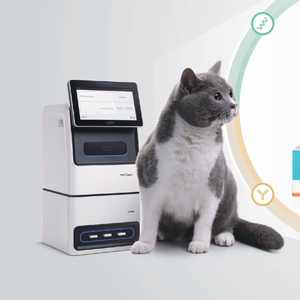 <span class=keywords><strong>Mindray</strong></span> VetXpert 큐브 생화학 분석기 면역측정기 분석기 수의사 통합 분석기 - Product Image 1