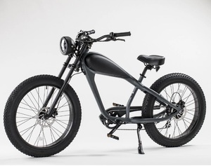 Used Vintage Electric Bike For Sale Top 