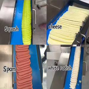 Cortadora de Carne Comercial para Restaurantes, Personalizable, Cortadora de Tocino y Carne de Res, Motor Automático, Máquina Eficiente para Cortar y Rebanar Carne - Product Image 5