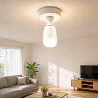 Ampoules LED en forme de T à haute luminosité et à économie d'énergie, 18W-150W, culot E27 B22, télécommande AC pour la maison et le bureau (vente en gros)
