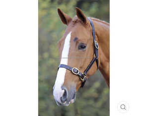Horse Leather <b>Halters</b> - Product Image 3
