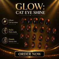 Faux Ongles Magnétiques Œil de Chat Noir Orange Aurore Faits Main Réutilisables Couverture Complète pour Femme Fête Manucure Kit 4580
