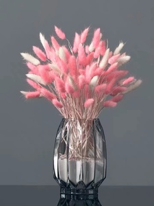 Flores secas de <span class=keywords><strong>HY</strong></span>-D9Material, ramos de hierba de cola de conejo, bolsa Opp, flores decorativas de Navidad y coronas de larga duración, 60 uds./<span class=keywords><strong>Bu</strong></span> - Product Image 2