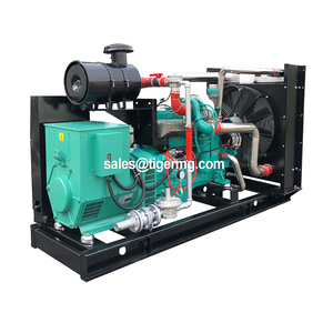 2mW 20kW 50kw 60kw 100kw 150kva 200kva 500kw 1000kw kích thước nhỏ thứ hai tay Biogas tuabin Máy phát điện giá cho giá - Product Image 4