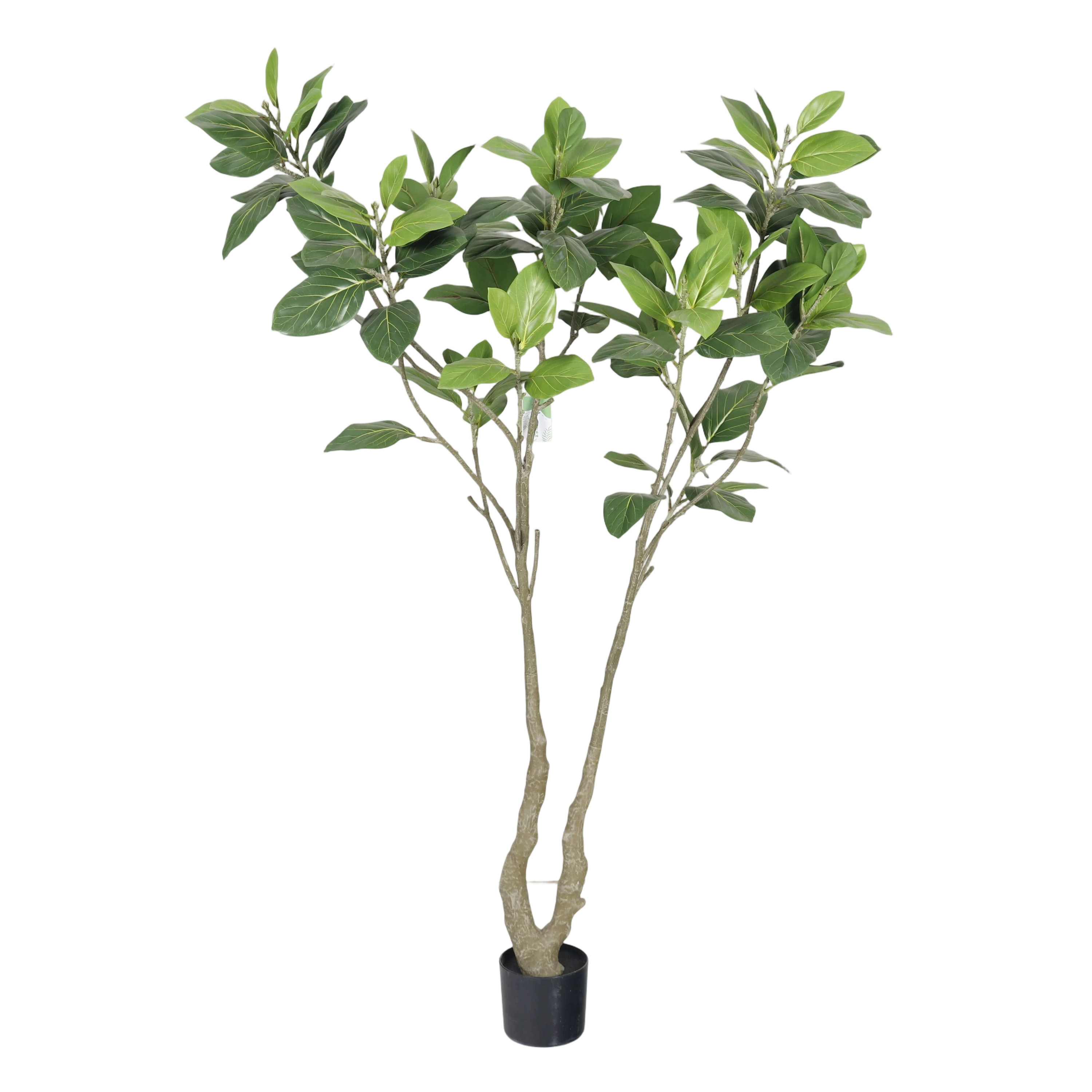 Vert B-180cm