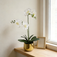 Anggrek Phalaenopsis Buatan Putih dengan Akar dalam Pot Keramik Emas dengan Tanah Buatan Bunga Palsu untuk Dekorasi Ruang Tamu.