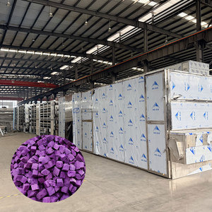 Séchoir à bande maillée grande capacité pour cubes de patate douce violette - Product Image 1