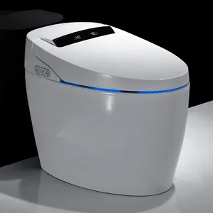 Foshan factory smart intelligent toilet electron instant heating seat 110/220 V one piece smart toilet