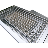 Certifié CE SUS haut de gamme 304 Barbecue infrarouge en céramique à gaz pour l'extérieur avec brûleur latéral pour la cuisine extérieure