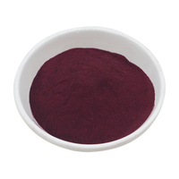Colorant alimentaire de qualité supérieure Anthocyanes 25% Extrait de fruit de sureau noir en poudre