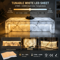 Lámina LED Flexible de Alta Densidad 484leds/m CCT, Circuito de Cobre, Blanco Dual 2700K-6500K, Lámina de Retroiluminación LED para Mostradores de Mármol y Ónix