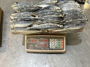 Galunggong Layang scad แช่แข็ง7-9ชิ้น8-10ชิ้น<span class=keywords><strong>ปลา</strong></span>แช่แข็ง muroaji/รอบ scad ทั้งหมดสำหรับขาย - Product Image 5