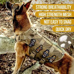 Échantillon gratuit Caractéristiques uniques Laisse en polyester attachée Mode Respirant Durable Pet Vest Harness Dog for Outdoor - Product Image 4