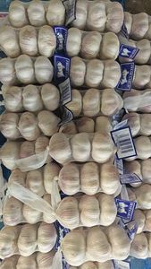 Çin tedarikçisi saf Normal taze beyaz sarımsak toptan fiyat sunuyor çin'den Ajo frafrais ihraç - Product Image 4