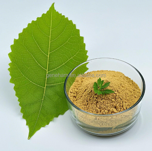 ผงสมุนไพร <span class=keywords><strong>DNJ</strong></span> สารสกัดจากหม่อนเกรดอาหารสำหรับผลิตภัณฑ์เสริมอาหารการผลิตที่เชื่อถือได้ - Product Image 4