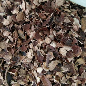 GIA NGUYEN Copeaux de coque de noix de cajou écologiques en vrac, combustible industriel, Vietnam - Product Image 1