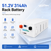 Batterie au lithium LiFePO4 16 kWh 51,2 V 314 Ah, montage sur rack, système solaire hors réseau pour système de stockage d'énergie domestique ESS