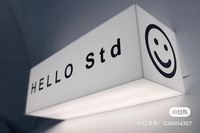 Enseignes commerciales personnalisées pour devantures de magasins, signalétique LED, logo, enseignes 3D, éclairage extérieur