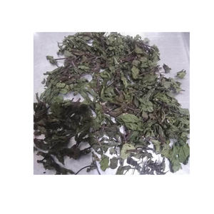 Hojas de Hierbabuena Crudas Liofilizadas de Alta Calidad, Estilo Popular, Producidas en Egipto Bajo Nuestra Supervisión - Product Image 2