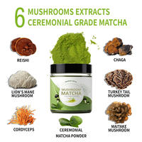 Emballage personnalisé et formulations personnalisées Matcha de cérémonie et poudre d'électrolytes