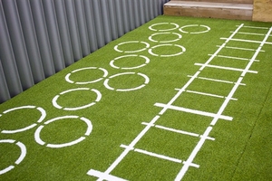 <span class=keywords><strong>Tapis</strong></span> d'herbe artificielle d'intérieur personnalisable de haute qualité MCG Gym, 15 mm d'épaisseur, écologique avec motif unique pour la luge - Product Image 4