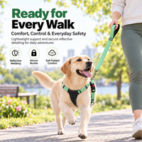 Kit de laisse et harnais rembourrés en nylon réglables pour chiot, idéal pour les promenades en extérieur (vente en gros)