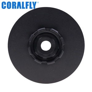 Kit de Filtro de Combustible OEM / Separador de Agua P550821 PF7986 FS19869 para Elemento de Cartucho - Product Image 6