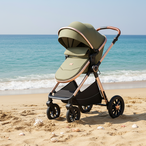 Poussettes pour bébés. Poussette de luxe pour bébé, poussette-landau, possibilité de s'asseoir ou de se coucher, poussette pliable, landau 2 en 1 - Product Image 1