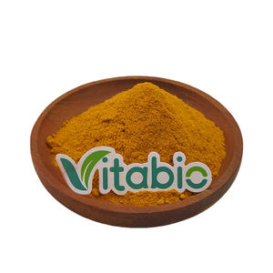 Extracto de Flor de Madreselva en Polvo, Ácido Clorogénico 5%, Extracto de Madreselva de Grado Alimenticio, Bolsa de 1 kg - Product Image 1