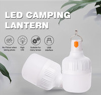 Ampoule LED de Gros à Prix Abordable, Lampe de Charge Rechargeable, Lumière Solaire d'Urgence pour Camping et Tente