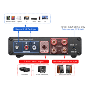 <span class=keywords><strong>AIYIMA</strong></span> A01 PRO BT TPA3116 amplificateur de puissance Audio 2.0 canaux stéréo ampli RCA réglable basses moyennes et aigus 100Wx2 - Product Image 4