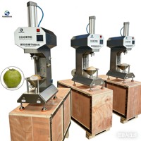 Stilte kokosnootschilmachine met verstelbare snelheid, draagbare mini elektrische kokosnootschiller