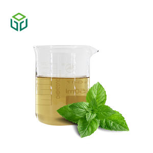 ผงสกัดใบสะระแหน่ออร์แกนิกเกรดอาหารสำหรับขายส่ง บรรจุขวดและถัง - Product Image 3