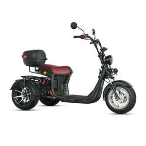 Vehículo Eléctrico de 3 Ruedas Citycoco Elektro Roller Trike Tricycle con Batería de 4000 Vatios y 60v55ah, Disponible en el Almacén Loyal Eu - Product Image 2