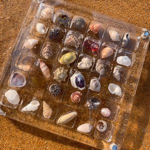 Moderne 36 Gitter Acryl Magnetic Sea shell Display Organizer Großhandel für Diamant Edelstein Perlen